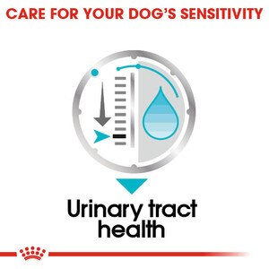 pouches for urinary tract health